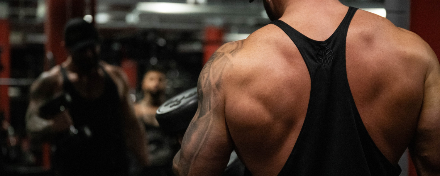 Banner Image